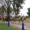 Romantic Getaway at Historic Arizona Guest Ranch Time to ride
