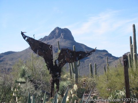 Angle Sculpture & Start of Desert Art Walk