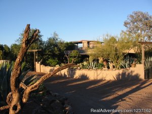A Wild Purple Ranch & Retreat | Tucson, Arizona Vacation Rentals | Arizona