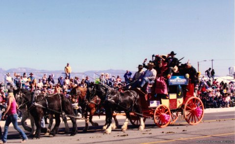 English Park Drag Coach
