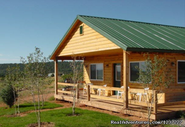 One of our 3 bedroom cabins | The perfect lodging choice for the Moab area | Old La Sal, Utah  | Hotels & Resorts | Image #1/8 | 