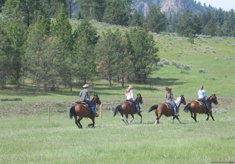 Fast-paced riding opportunities | Horseback Riding Adventures | Image #5/20 | 