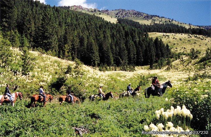 Pyramid Pass scenic trail ride | Horseback Riding Adventures | Image #3/20 | 