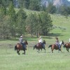 Horseback Riding Adventures Fast-paced riding opportunities