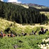 Horseback Riding Adventures Pyramid Pass scenic trail ride