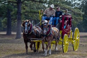 Winedale Historical Complex | Round Top, Texas Museums & Art Galleries | Great Vacations & Exciting Destinations