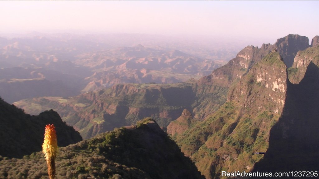 Senait Ethiopia Tours | Image #3/4 | 