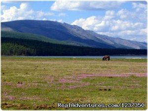 Horse trek Khovsgol Mongolia