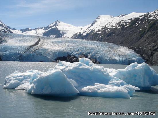 Glacier | Upscale Lodging on the Kenai River, Alaska | Image #15/22 | 