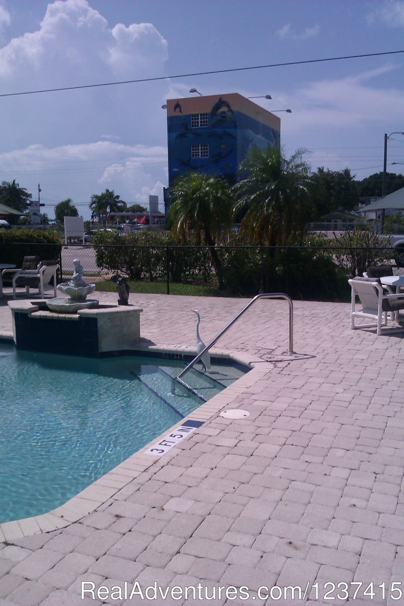 Pool  (Dive Shop in Background) | Rodeway Inn & Suites | Key Largo, Florida  | Hotels & Resorts | Image #1/3 | 