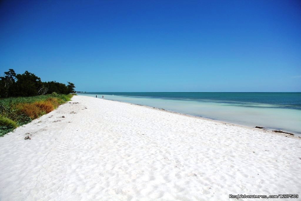 Protected Wetland for the turtles and wildlife | Royal Plum Club | Image #4/9 | 