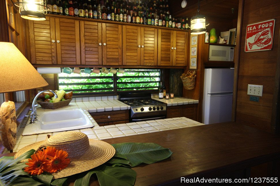Seabird's galley is well equipped for preparing Island meals | Seabird Key, Private Island,  Sandy beach & boat | Image #9/24 | 
