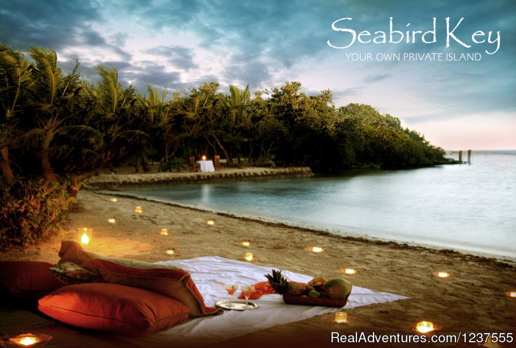Enjoy the romance of your own private beach. | Seabird Key, Private Island,  Sandy beach & boat | Image #24/24 | 