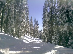 Ride The Volcano Snowmobile Mt Shasta, Ca.