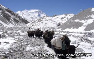 Lhasa everest base camp tour | Kathmandu, Nepal Hiking & Trekking | Great Vacations & Exciting Destinations