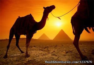 Egypt 2Day Tour | Cairo, Egypt | Sight-Seeing Tours