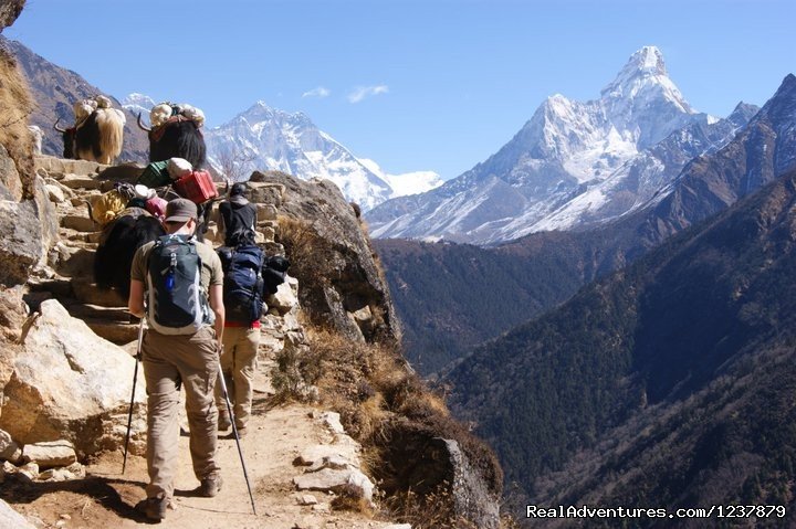Trekking trail to Everest Base Camp | Trekking in Nepal, Nepal Trekking, Himalaya Trekki | Image #14/26 | 
