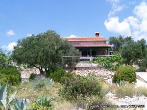 Robinson house - Your kind of holiday on island | Pasman, Croatia Vacation Rentals | Accommodations Croatia