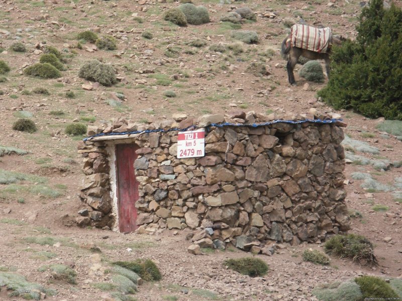 Refuge at Tizi  Mzik 2479m | Toubkal Mountain Leader | Image #3/10 | 