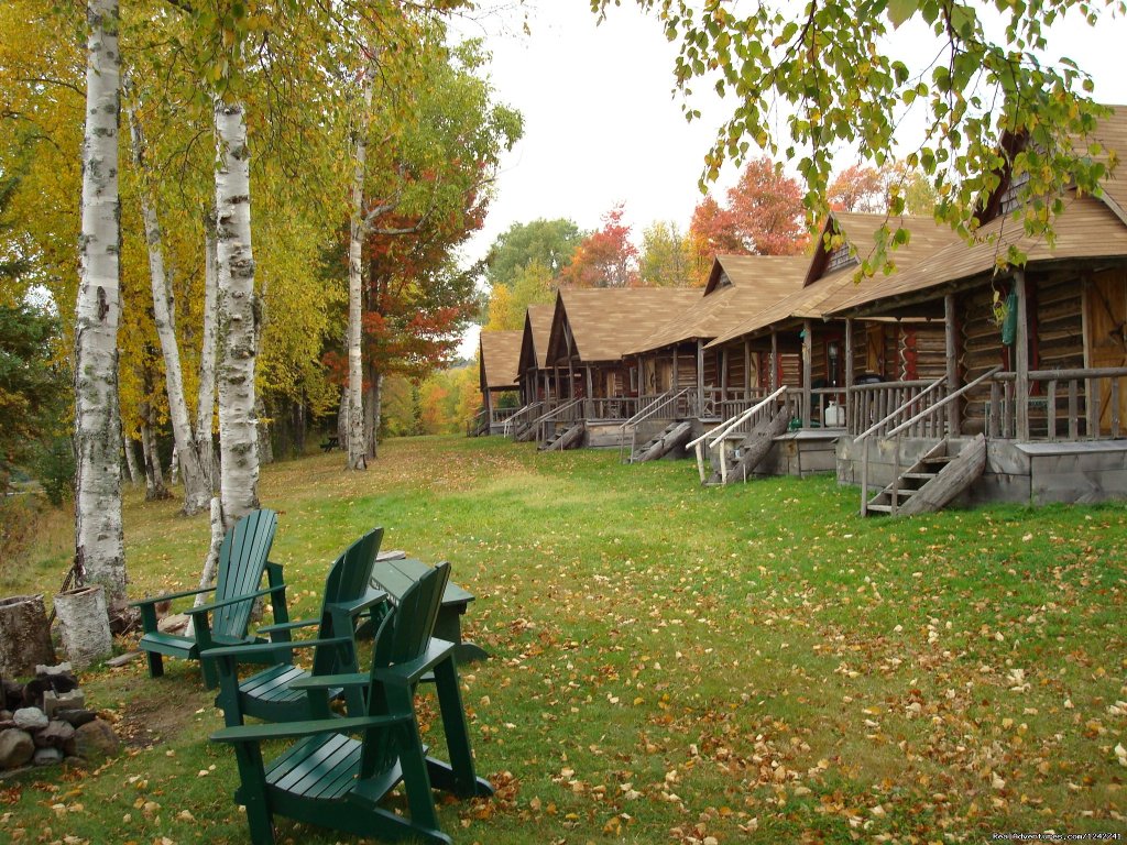 Authentic log cabin accommodations | View Northern Maine's Boreal Species | Image #20/21 | 