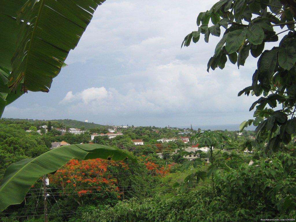 View overlooking the parish  | Welcome To The Villa Roma Located In Montego Bay | Image #10/18 | 