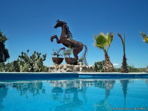 Rancho Las Cascadas | San Francisco Soyaniquilpan de Juarez, Mexico Horseback Riding & Dude Ranches | Mexico Adventure Travel