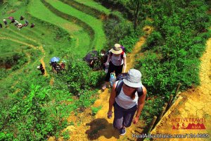 Great trekking and homestay in Sapa, Vietnam | Hanoi, Viet Nam Hiking & Trekking | Viet Nam