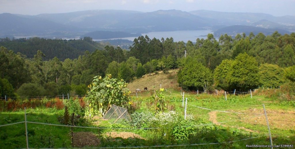 The veggie patch and paddocks | Rural retreat in Northern Spain- unique location | Image #9/17 | 
