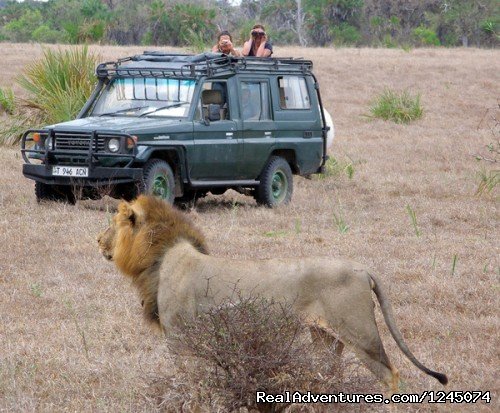 Selous game resrve | Tanzania Holiday Safaris | Image #3/11 | 