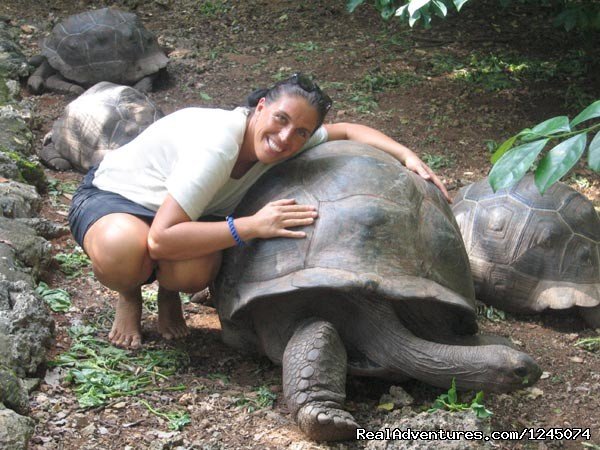 Explore the Tortoise in Zanzibar | Tanzania Holiday Safaris | Image #11/11 | 