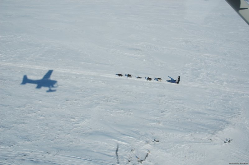 Flying over musher Cain Carter  | Iditarod Sled Dog Race Tours & Arctic Adventure | Image #11/25 | 