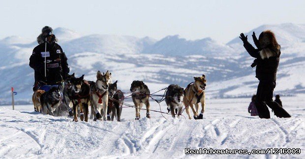 Lance Mackey arrives in Unalakleet | Iditarod Sled Dog Race Tours & Arctic Adventure | Image #14/25 | 