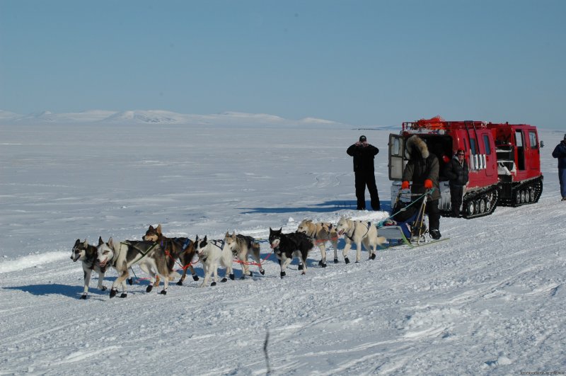  Snow Cat to Safety Roadhouse | Iditarod Sled Dog Race Tours & Arctic Adventure | Image #20/25 | 