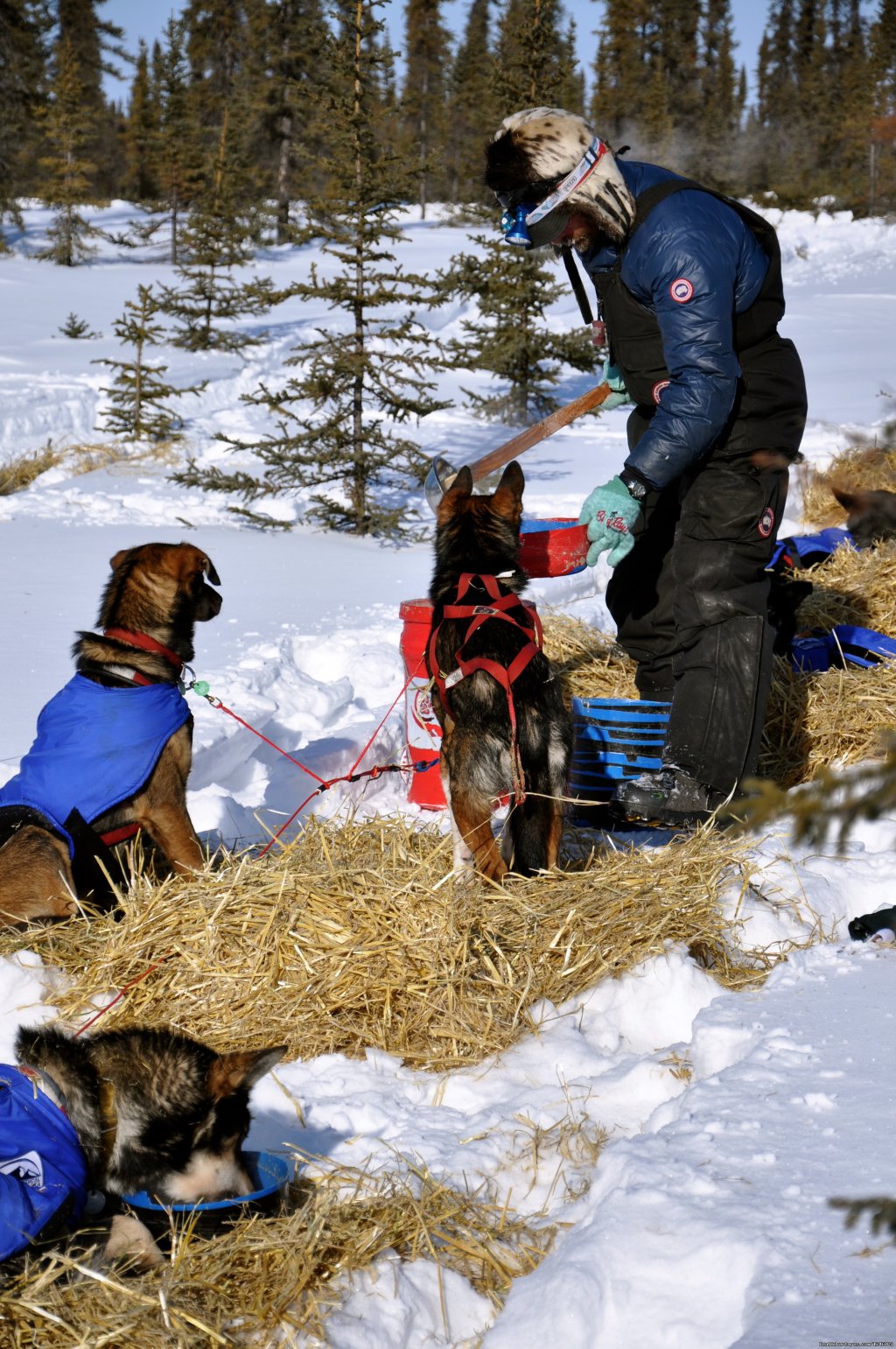 Lance Mackey at Cripple 2009 | Iditarod Sled Dog Race Tours & Arctic Adventure | Image #6/25 | 