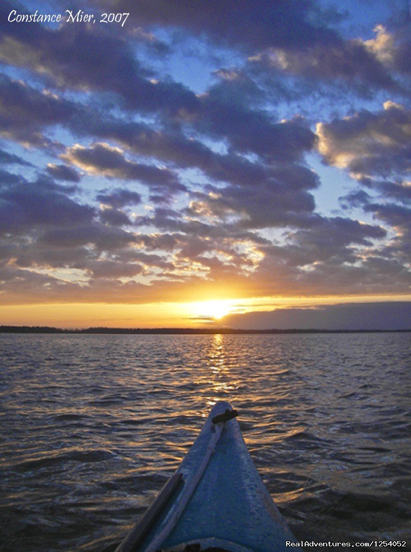 Everglades Nat'l Park - Boat Assisted Kayak Tour ...