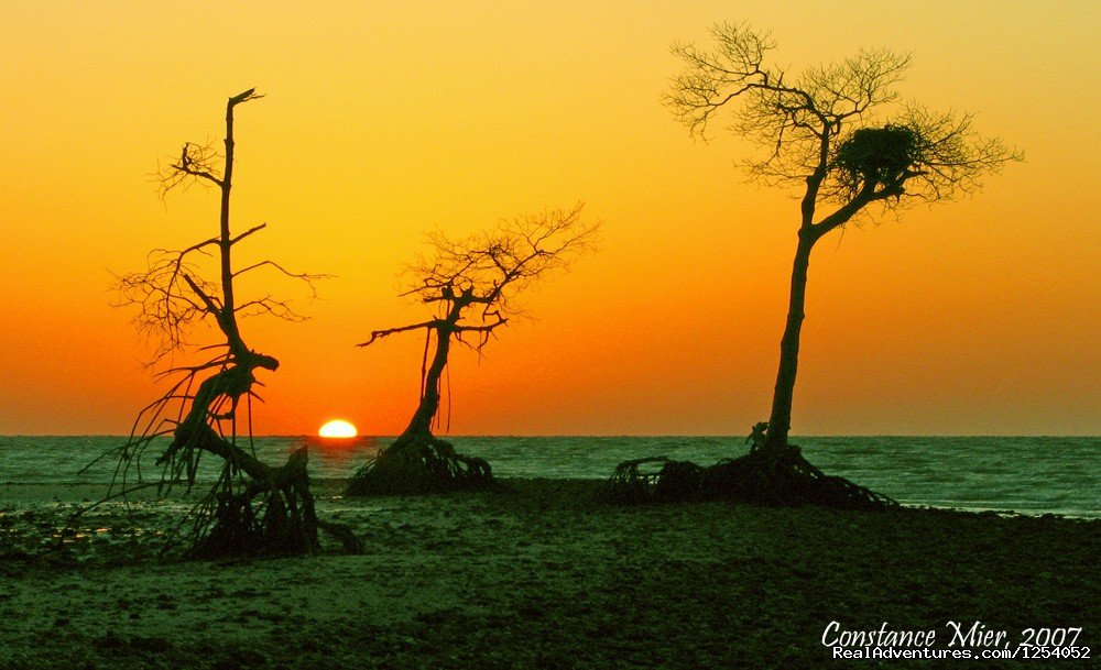 Everglades Nat'l Park - Boat Assisted Kayak Tour ...