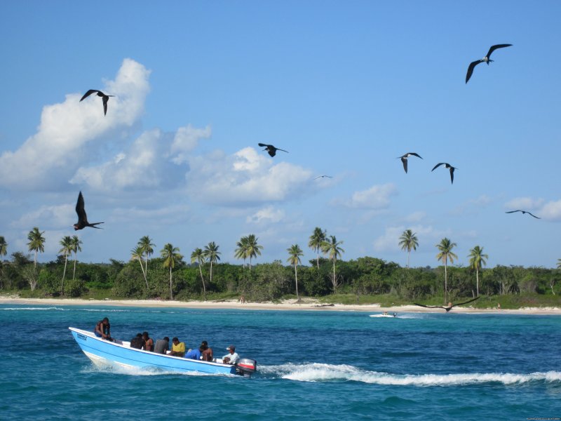 Sailing Charters  in Dominican Republic | Image #14/23 | 