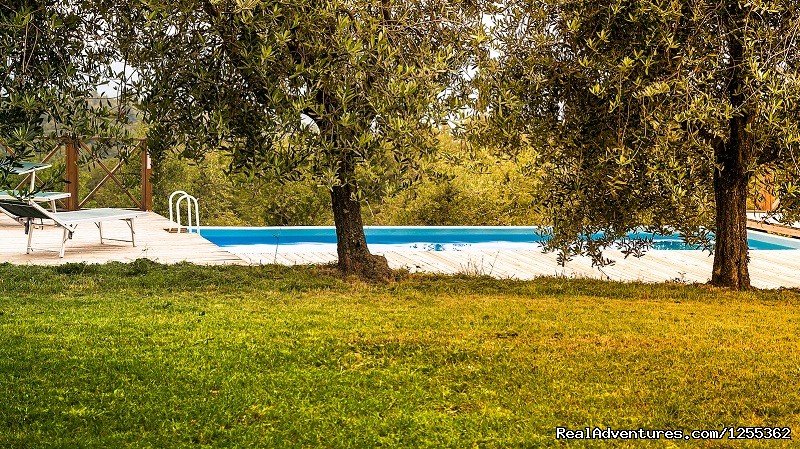 Pool of the farmhouse Le Corniole inside the hunting reserve | Hunting in Tuscany 'Riserva di Caccia Le Corniole' | Image #9/26 | 