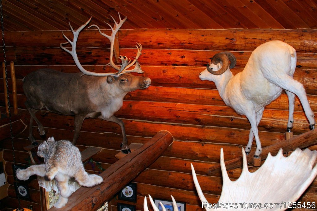 Wise Old Hunter Lodge - Den | Unique Lodging and Exciting Adventures in Alaska | Image #8/26 | 