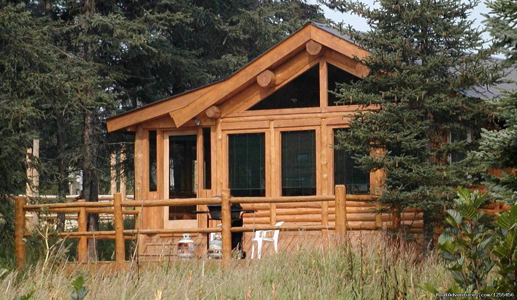 Moose Cabin | Unique Lodging and Exciting Adventures in Alaska | Image #7/26 | 