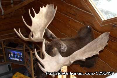 Wise Old Hunter Lodge | Unique Lodging and Exciting Adventures in Alaska | Image #12/26 | 