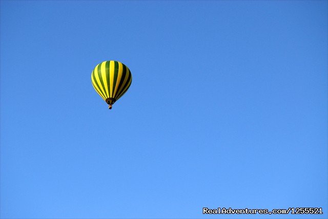 Northern Light Balloon Expeditions | Image #5/5 | 