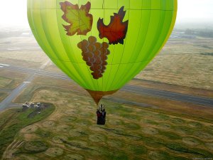 Wine Country Balloons | Santa Rosa, California Ballooning | Williams, California