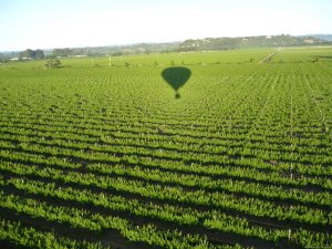 Up & Away Ballooning | Healdsburg, California Ballooning | California Adventure Travel