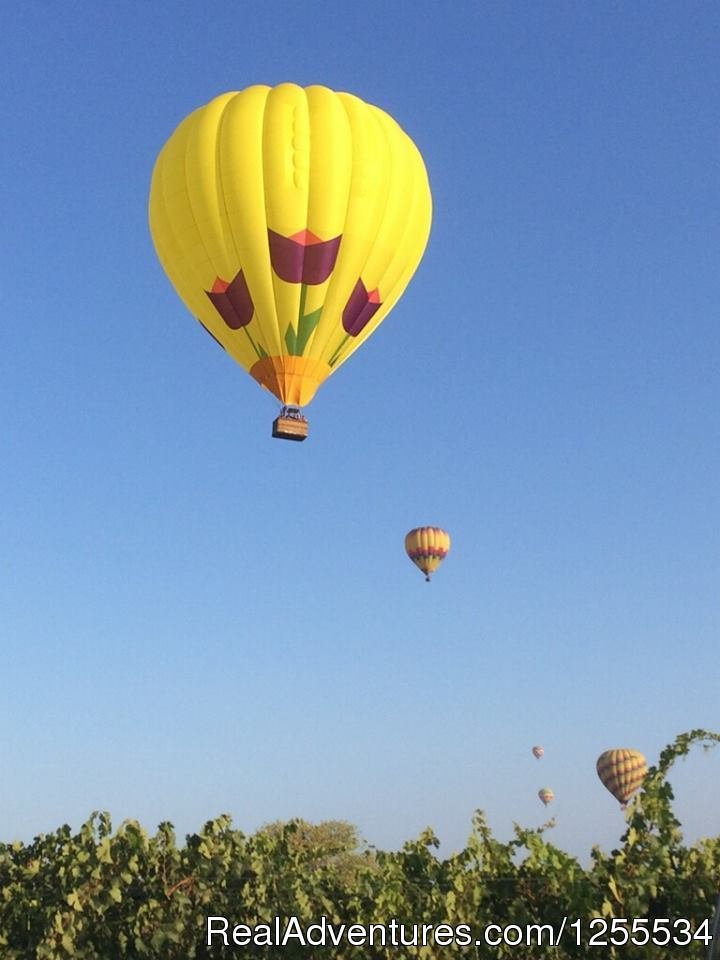 Mimosa Over The Vines | Napa Valley Balloons | Image #3/6 | 