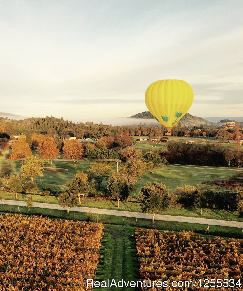 Fall In The Napa Valley | Napa Valley Balloons | Image #5/6 | 