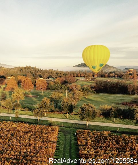 Fall In The Napa Valley