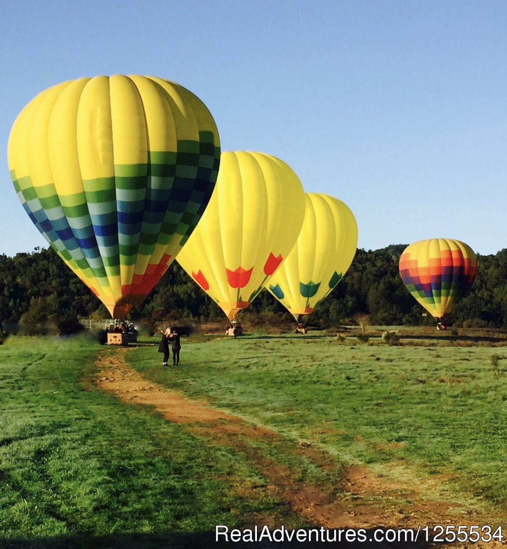 Perfect Landing | Napa Valley Balloons | Image #6/6 | 