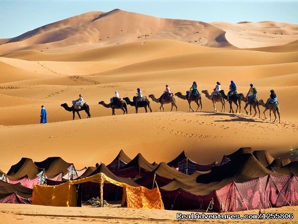 Camelride | Marrakechsafari Offre Tours around Morocco. | Image #2/9 | 