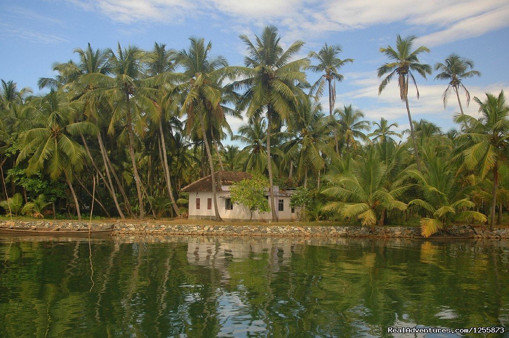Kavvayi Backwaters | Top luxury resort in Ezhimala, Kerala, India | Image #13/19 | 